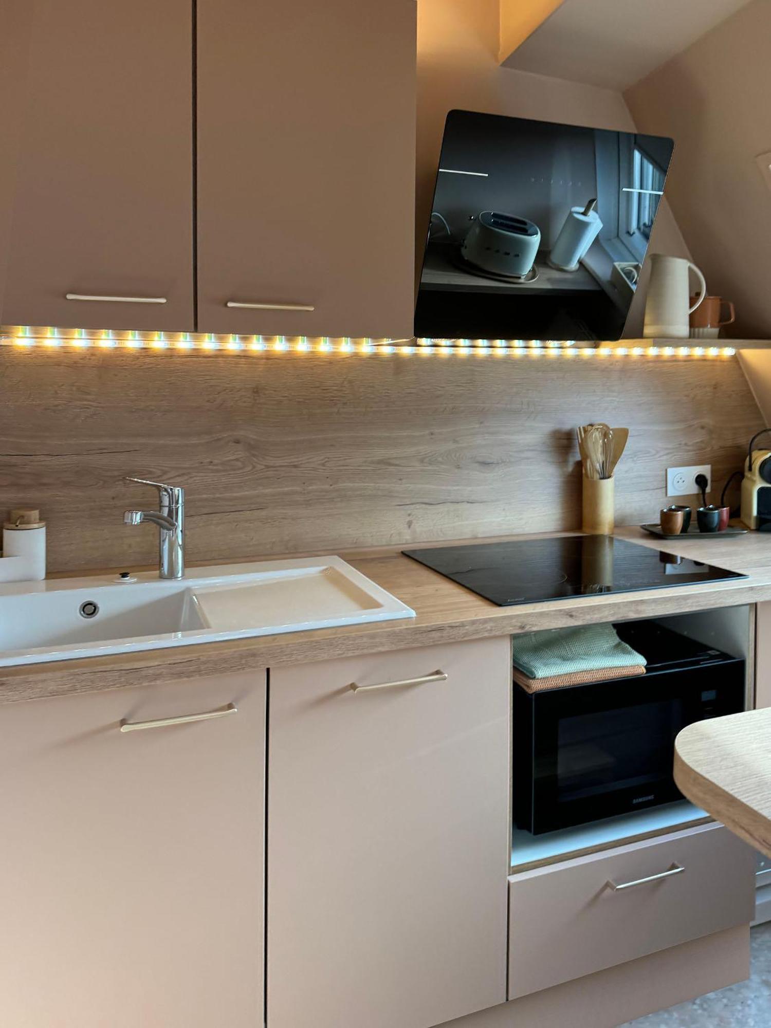 Appartement Le Petit Zix - Cosy Et Terrasse, Petite France Strasbourg