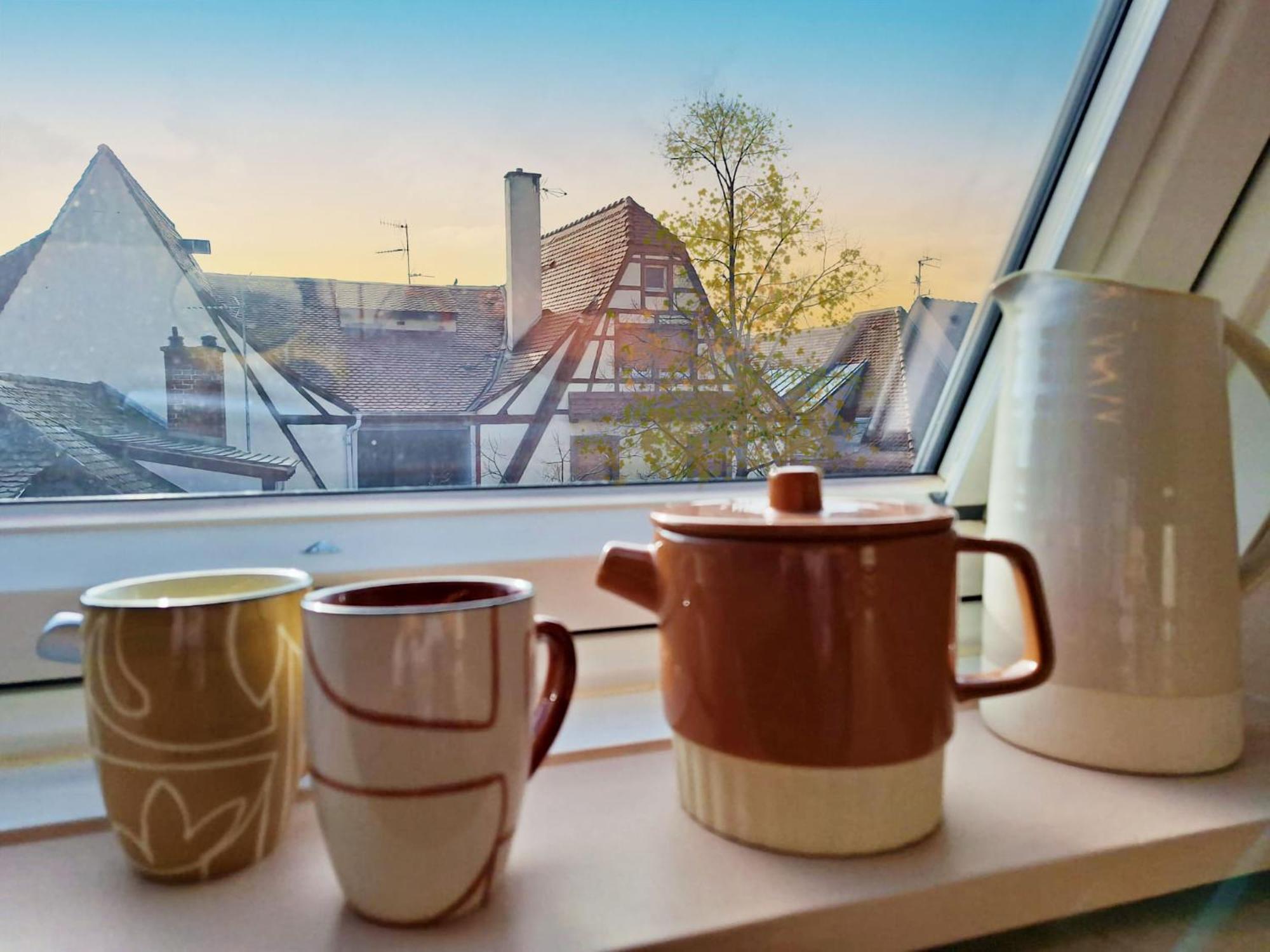 Appartement Le Petit Zix - Cosy Et Terrasse, Petite France *
