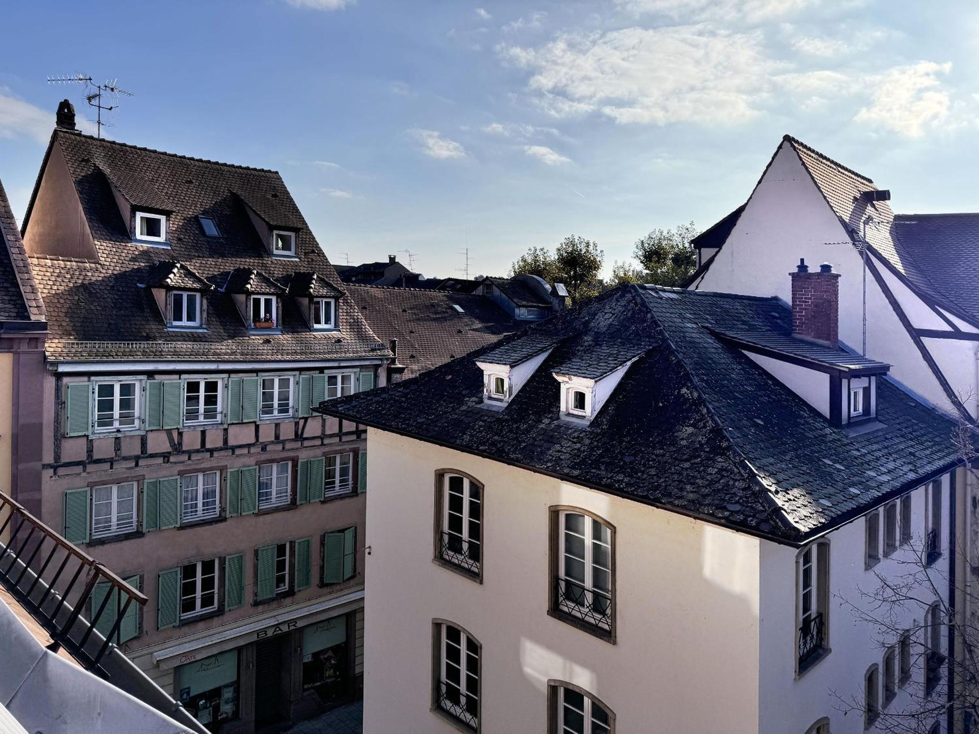 Appartement Le Petit Zix - Cosy Et Terrasse, Petite France *